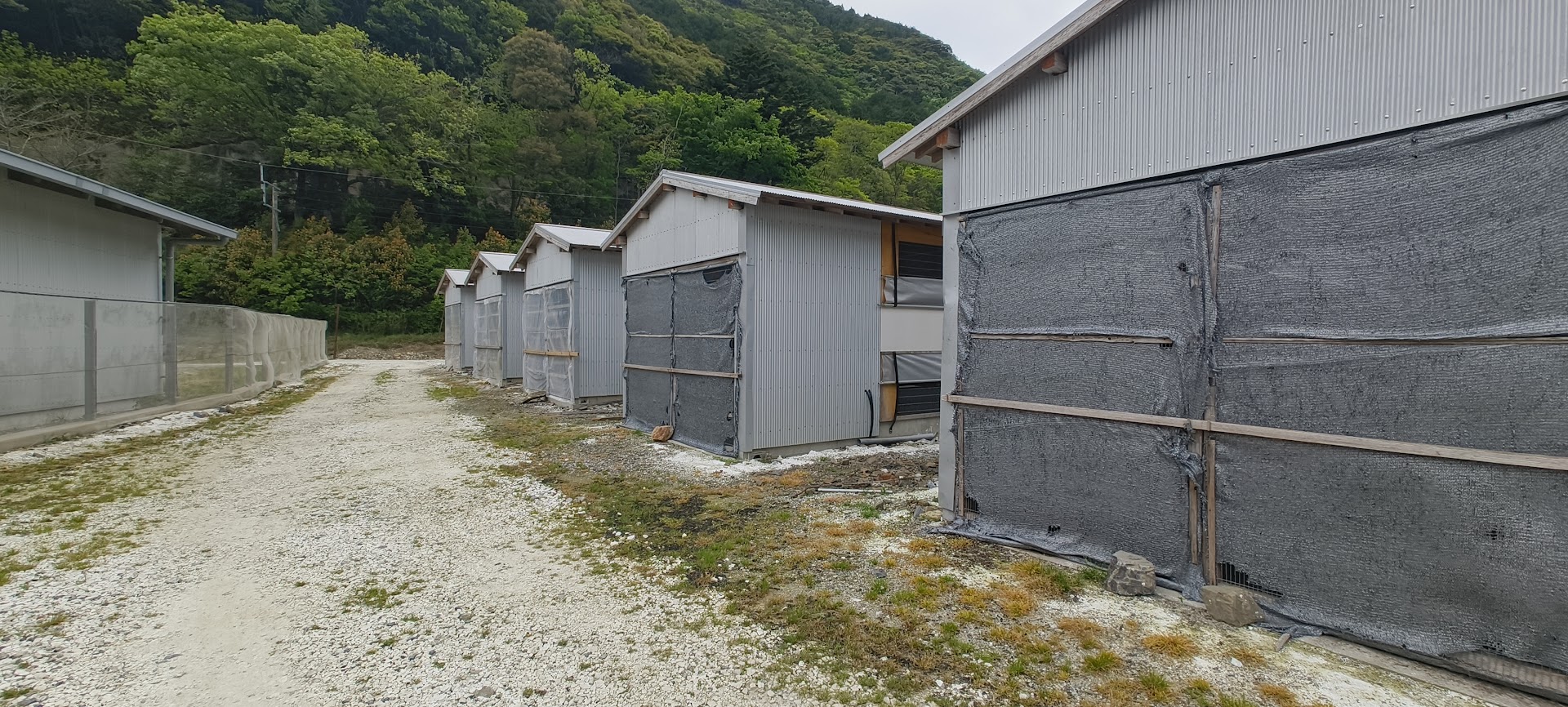 緑に囲まれた鶏舎